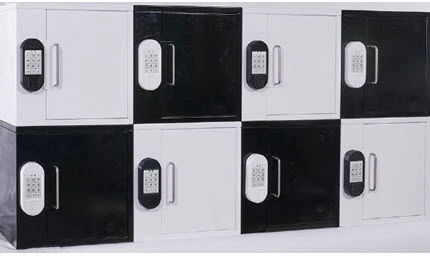 Multi Unit Locker